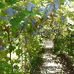 Balaton Art Holiday home *