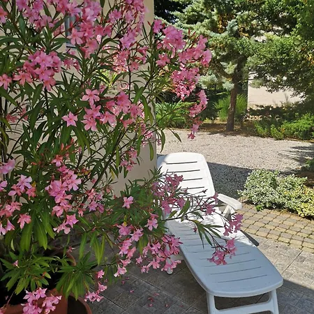 Balaton Art