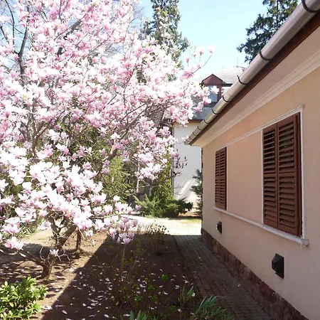 Balaton Art Balatonszárszó