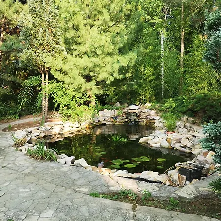 Prázdninový dům Balaton Art