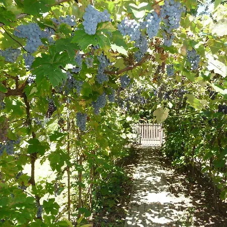 Balaton Art Holiday home *