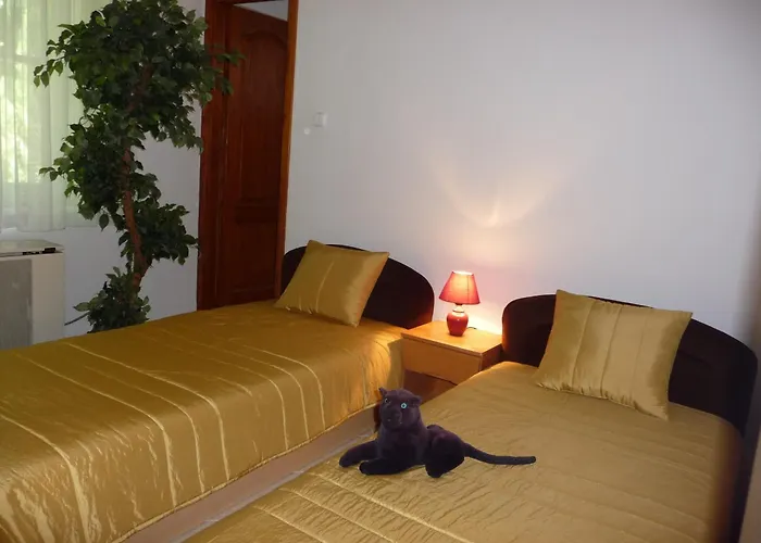 Prázdninový dům Balaton Art