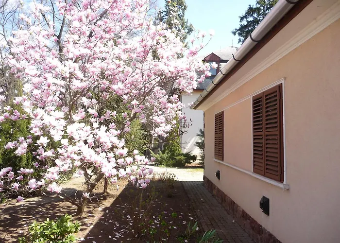 Balaton Art Balatonszárszó