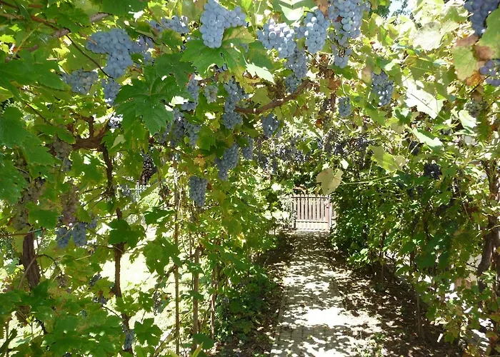 Balaton Art Prázdninový dům *